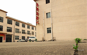 “論實力說話”專業硅膠制品廠家！