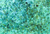 262735287150706837.jpg 262735287150706837.jpg