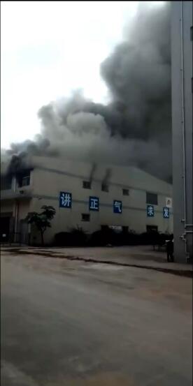 88876g.jpg 88876g.jpg