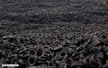 201b8245_1.jpeg 201b8245_1.jpeg